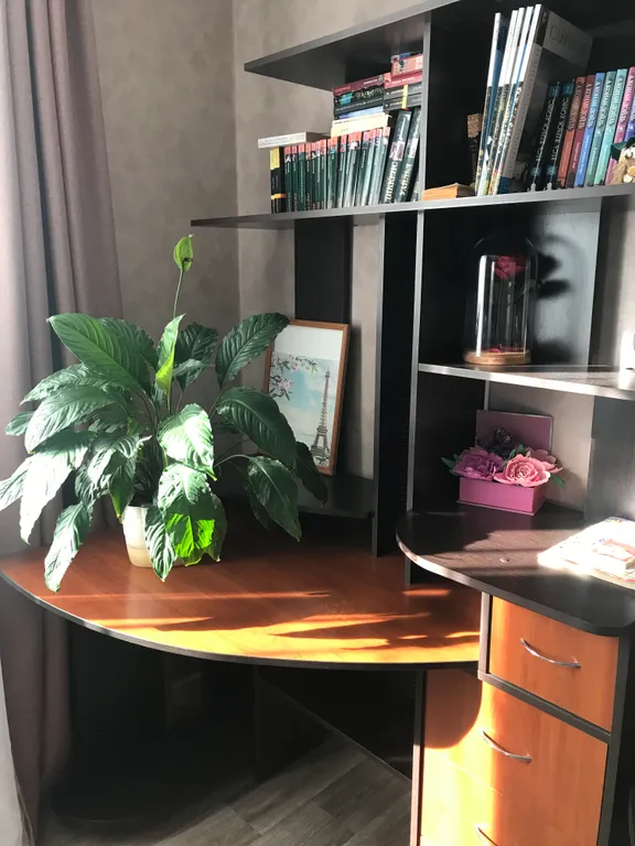 Уютная квартира с красивым видом на город