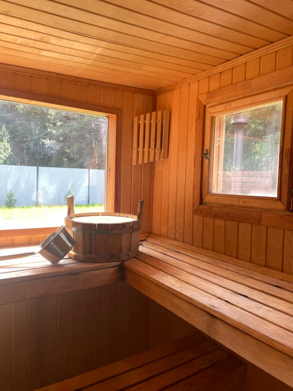 Дом с баней и купелью у леса