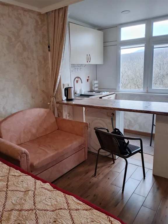 Студия в центре