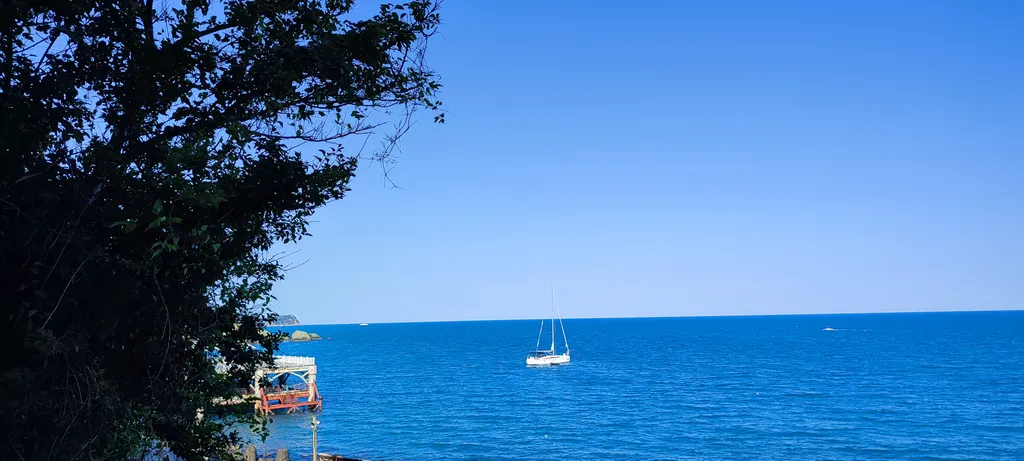 Домик с павлином