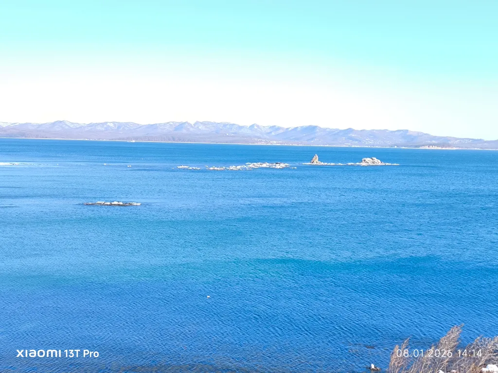 Уютная квартира около моря