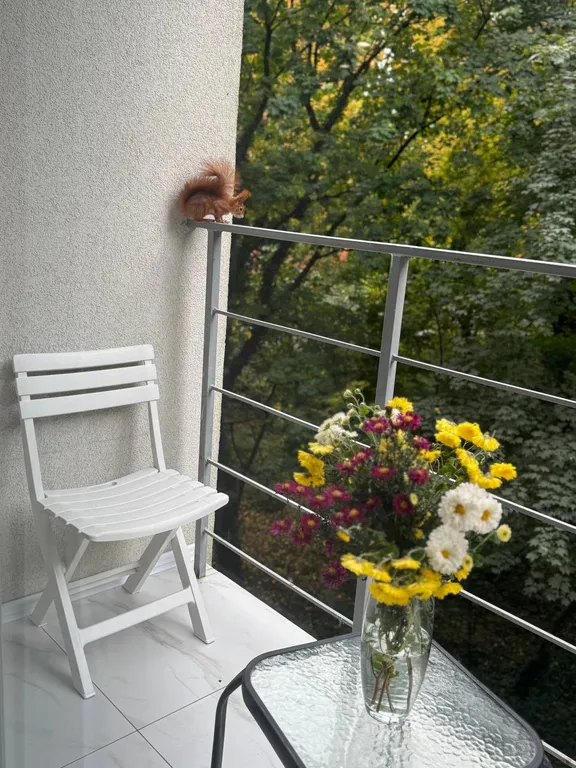 Квартира Апартаменты с видом на парк — Калининград