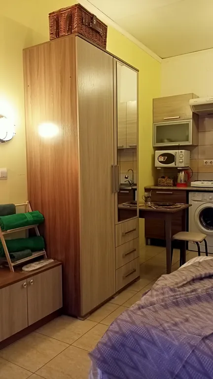 С видом на берег озера с лебедями, в историческом центре, с 1 кроватью