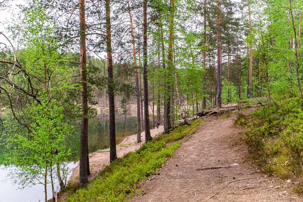 Загородный клуб Радужный лес