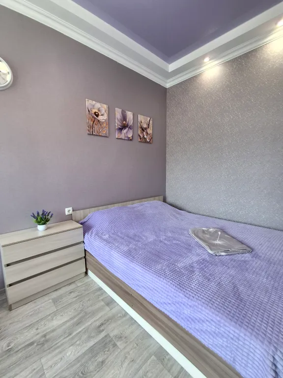 2-х комн квартира в центре города