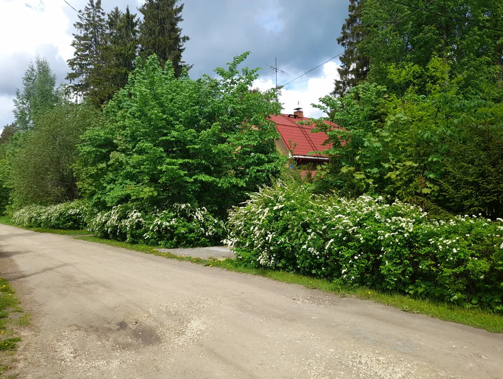 Коттедж Дом Симанского — Сиверский