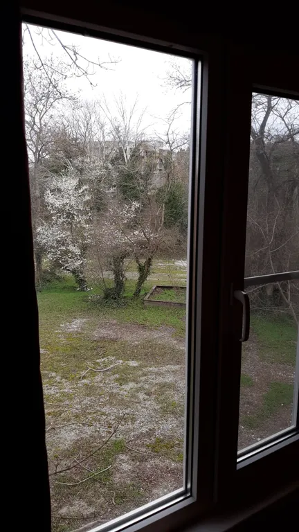 Уютный коттедж в лесу на берегу реки