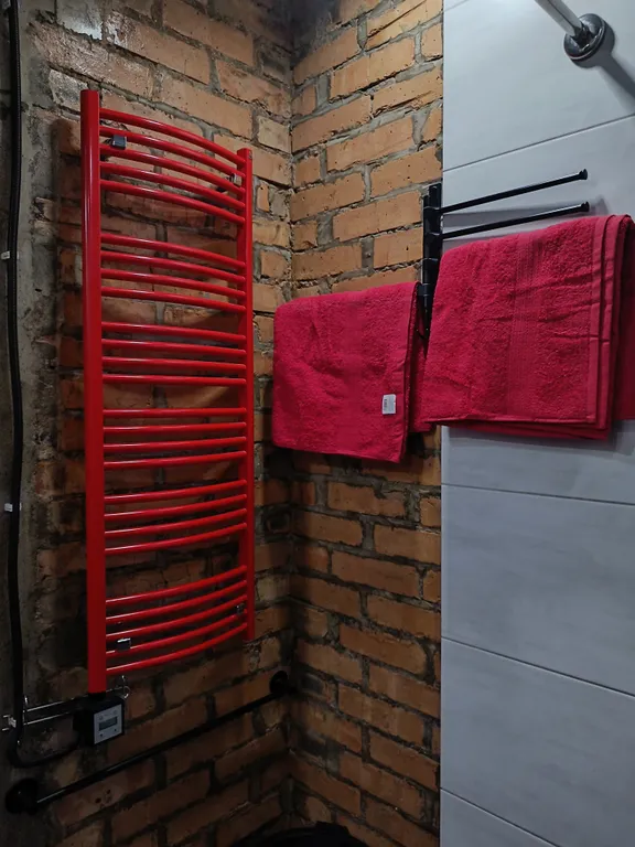 Двухуровневая Лофт-студия в Царском гараже