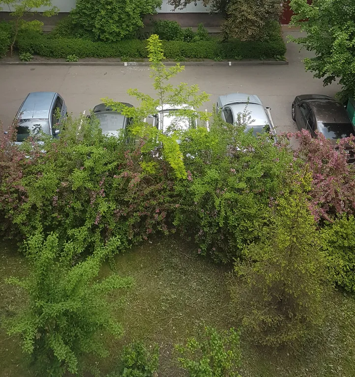 Квартира Квартира-студия в самом центре — Калининград