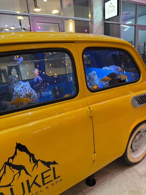 Апартамент с видом на горы в отеле Таукель