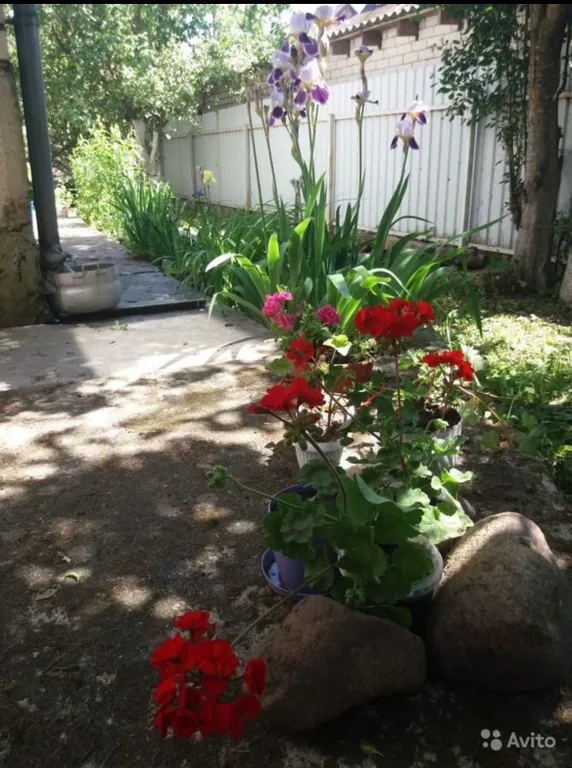 Дом в уютном месте