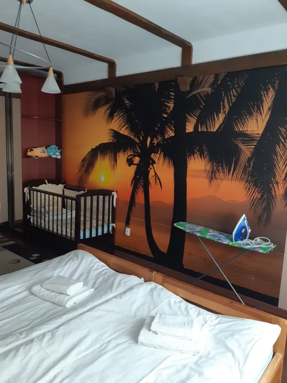 2-х комнатная квартира у Янтарь холла