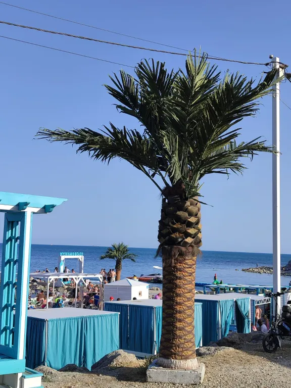 Студия с видом на море