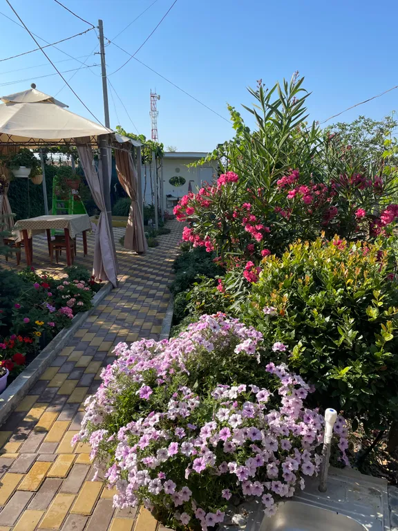 Номер с видом на море