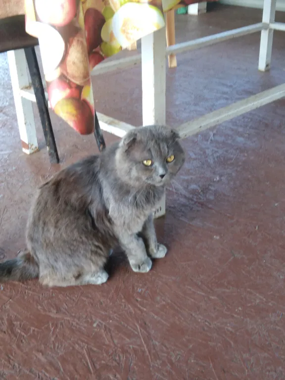 Семейный трехкомнатный номер