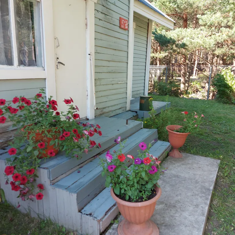 Деревенский дом