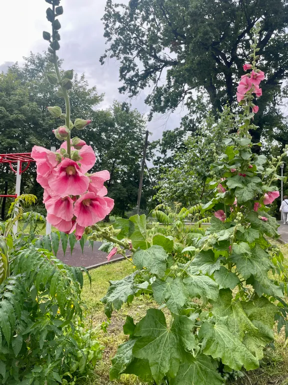 Квартира Апартаменты у озера — Калининград