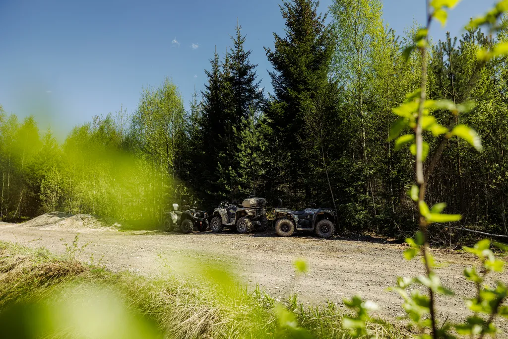 Вилла М с видом на вековой лес