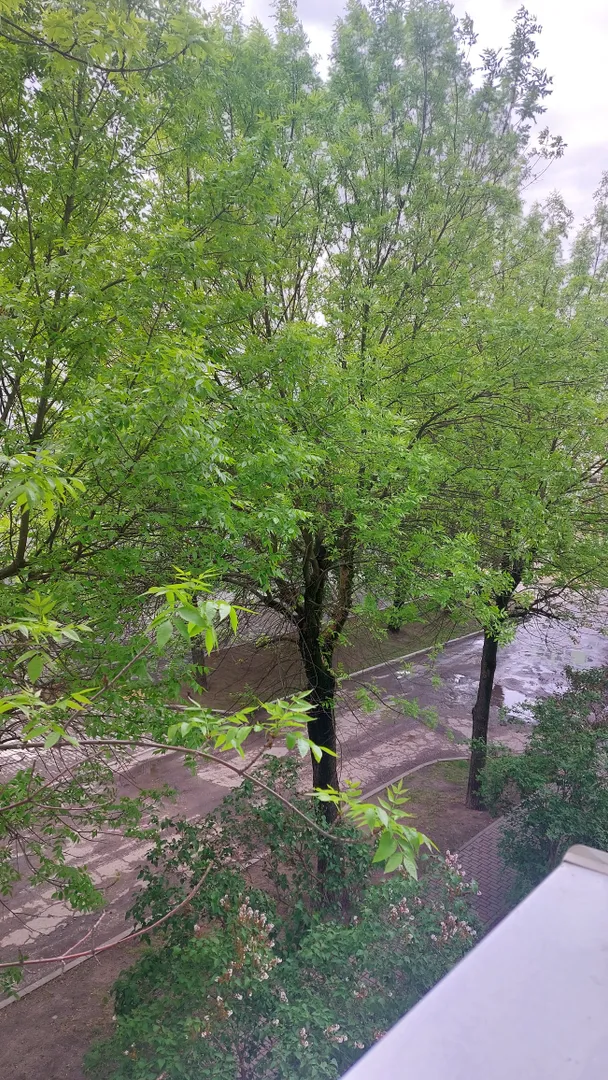 Вид с окна