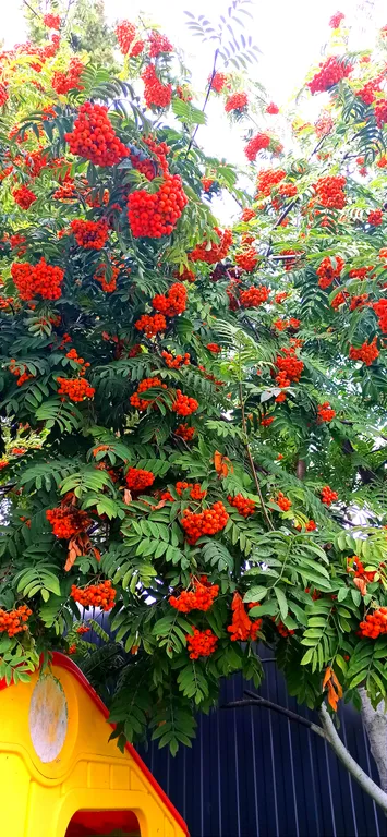 Домик у Камского моря