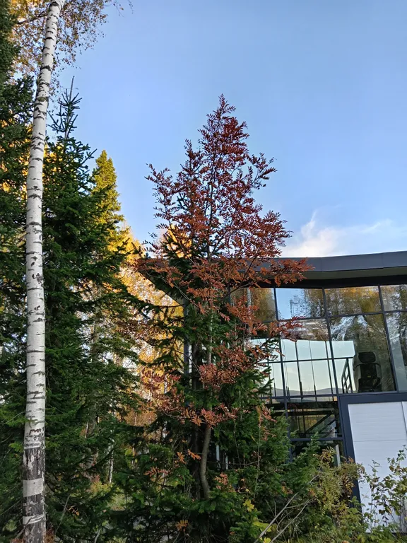 Гостевой дом премиум класса