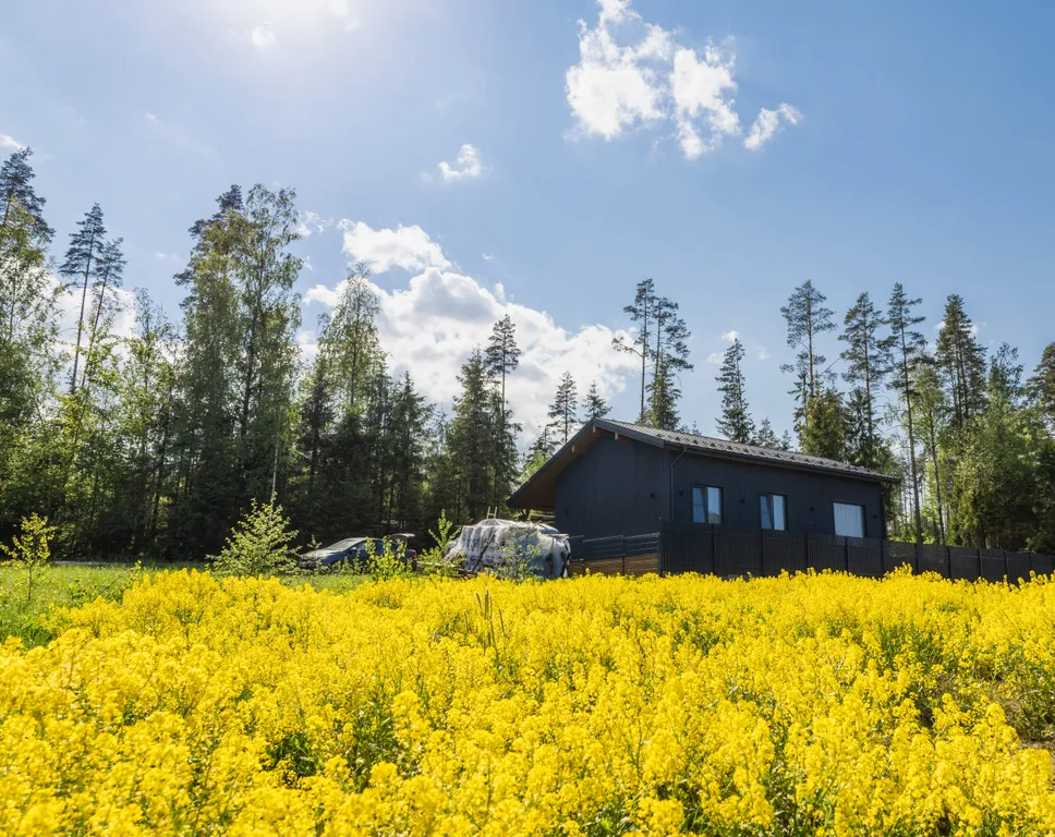Коттедж с сауной у Игоры Драйв
