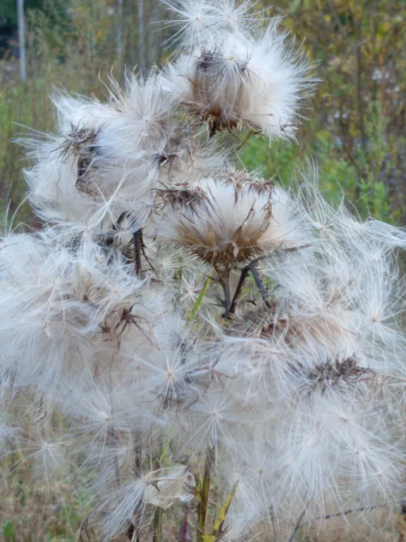 Гостевой дом премиум класса