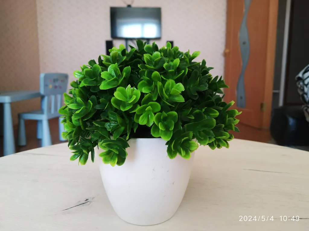 Родные просторы