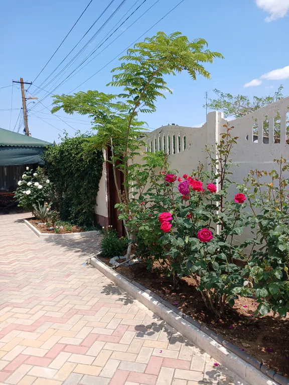 Загородное жильё для большой семьи у моря