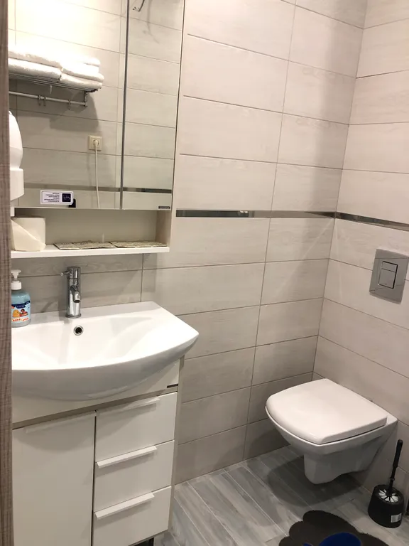 Квартира 1-комнатная Квартира — Сириус