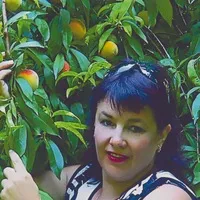 Елена Потапова