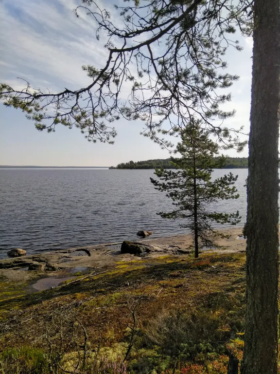 Уютный дом на Онежском озере