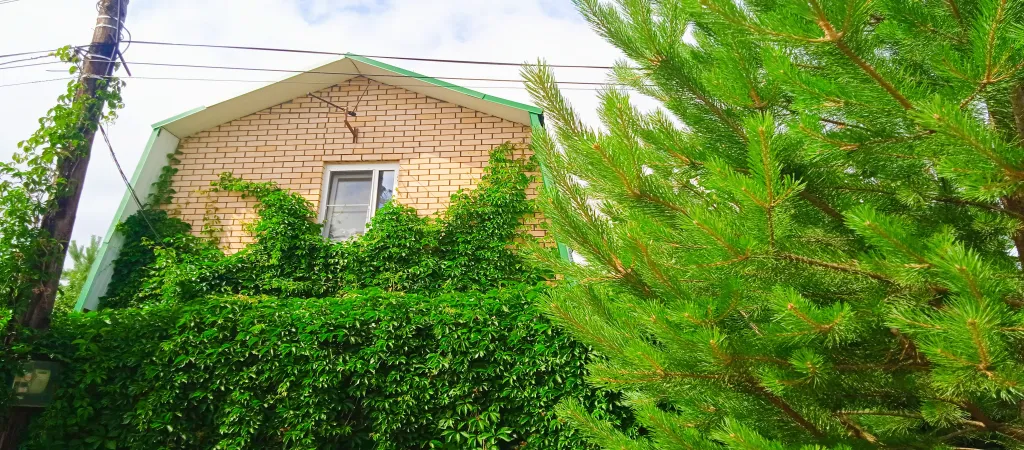 Уютный домик с русской банькой