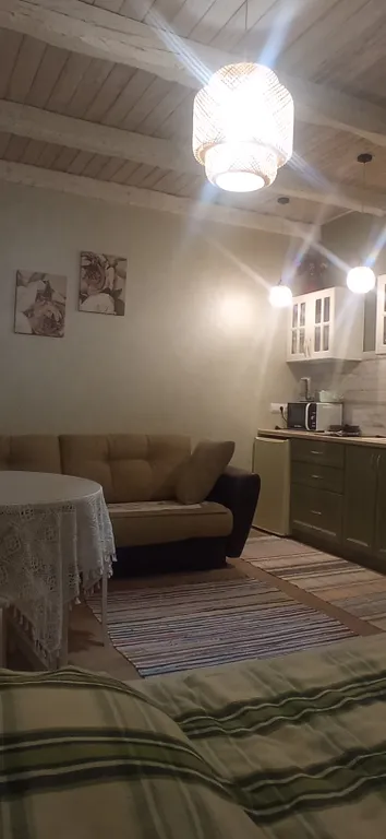 Студия Сканди Олива