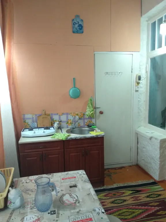 Эконом квартира с видом на гору кошку