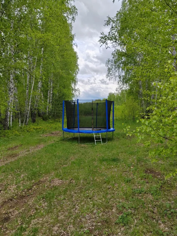 Скандинавский домик с панорамным окном в лесу