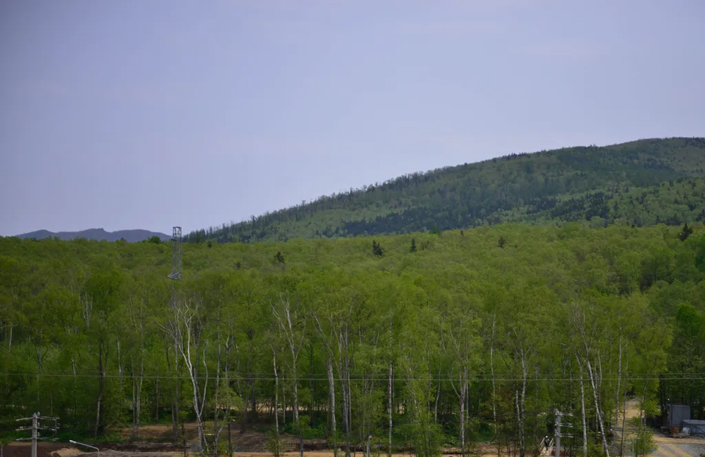 Квартира у камина