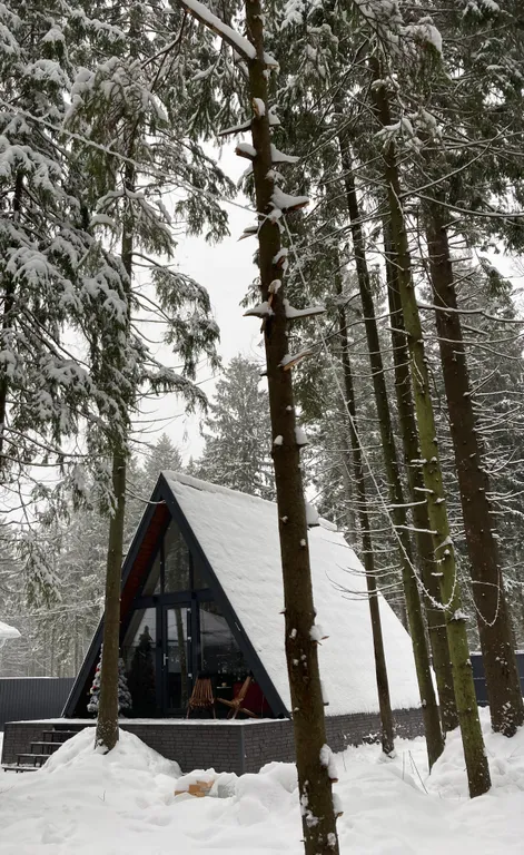 Уютный домик с банным чаном и панорамным видом на лес