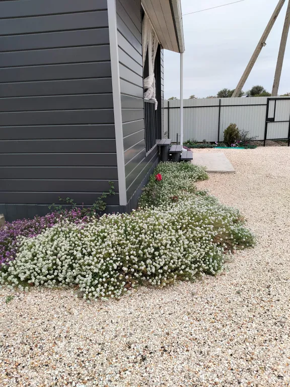 Дом с видом на море