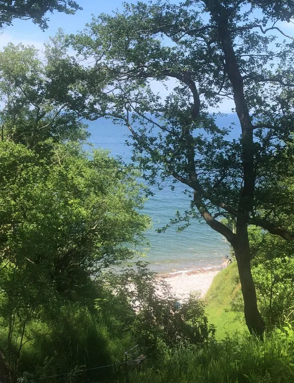 Квартира Уютная однокомнатная квартира у моря — Пионерский