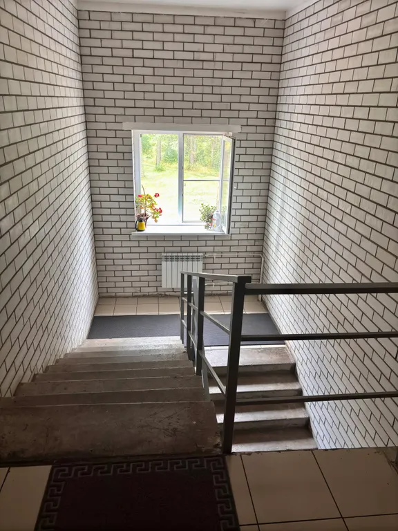 Квартира с видом на сосны