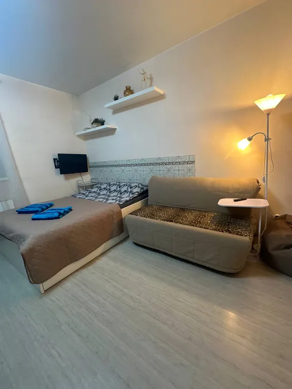 Студия Каштан в тихом ЖК