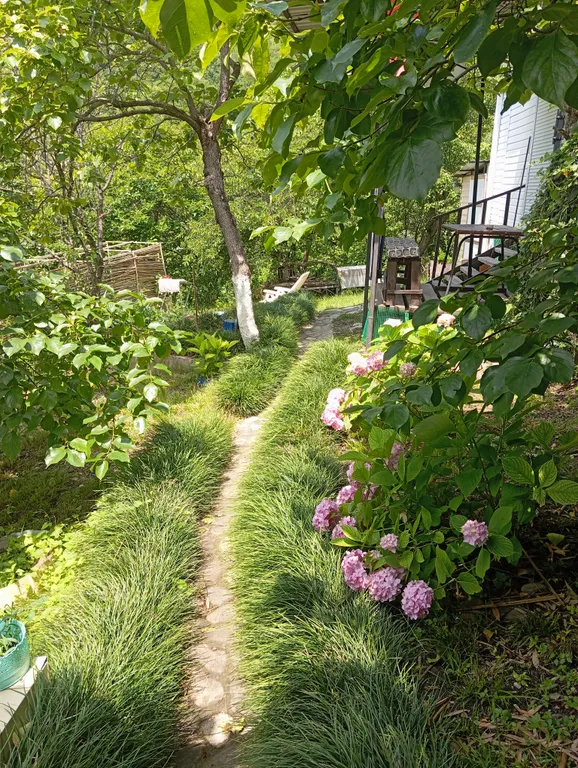 Коттедж Душевный отдых — аренда посуточно в Дедеркой