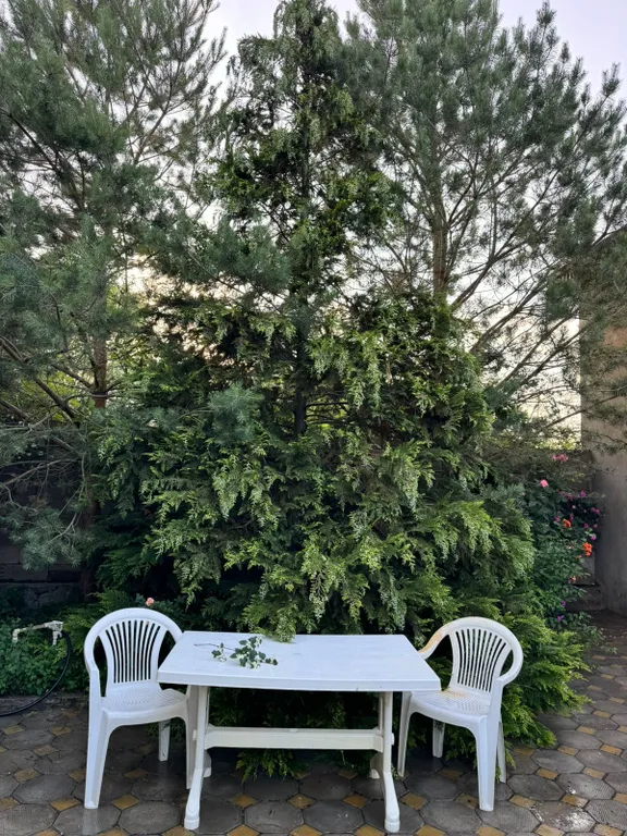 Коттедж Уютный комфортабельный дом в лесу — Касумкент