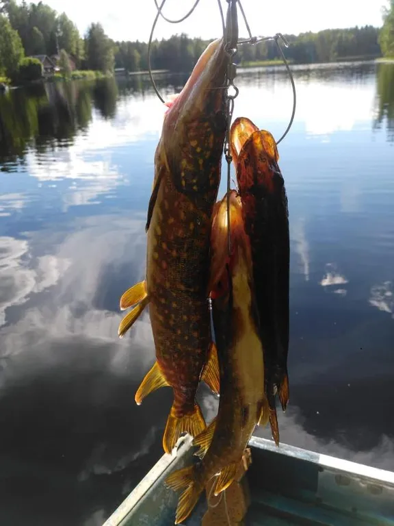 Отдых у озера