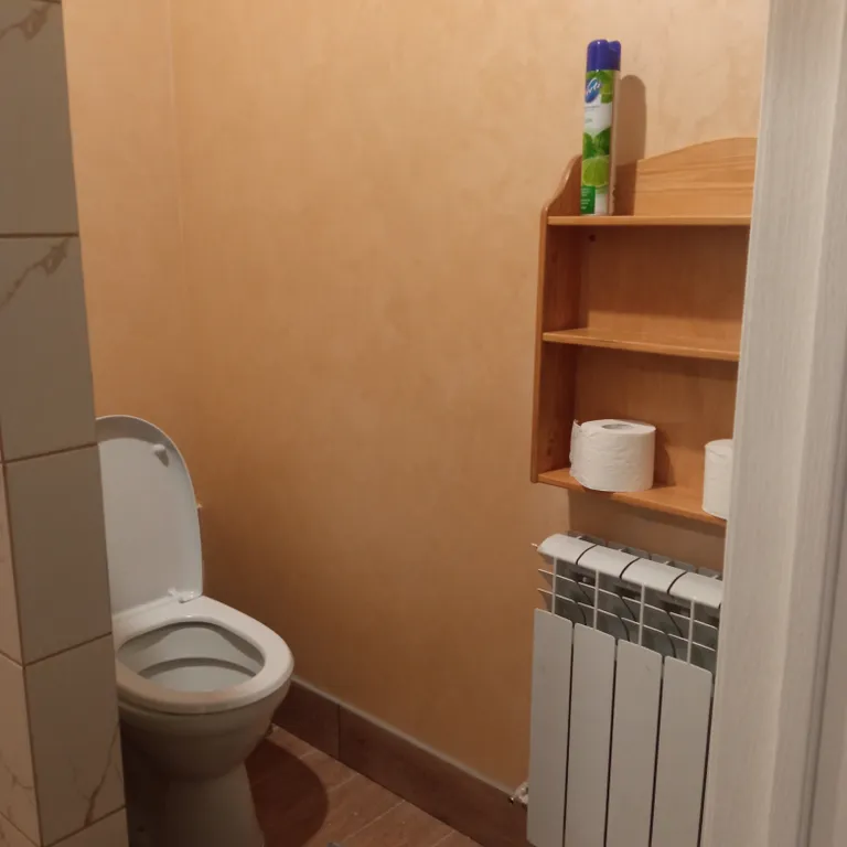 Студия Сканди Олива