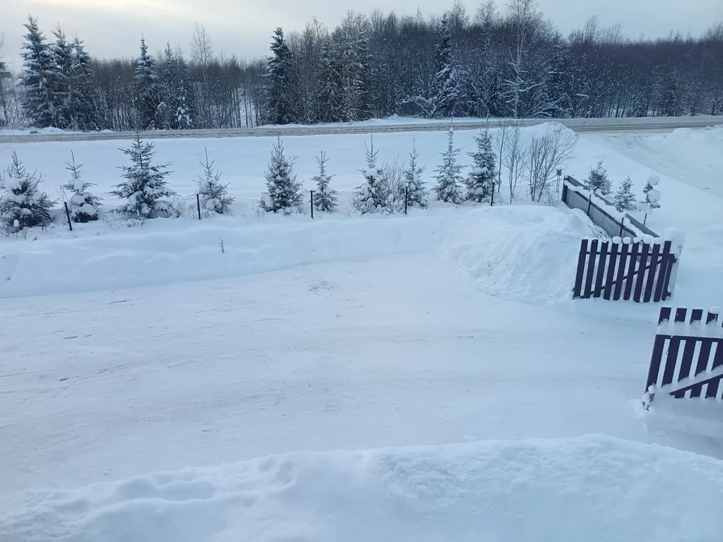 Просторный дом между Вотчиной Деда Мороза и Великим Устюгом