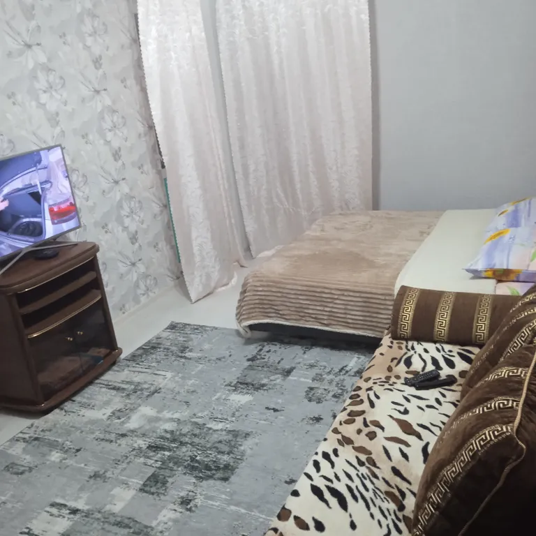 Уютная квартира после ремонта с видом на Эльбрус