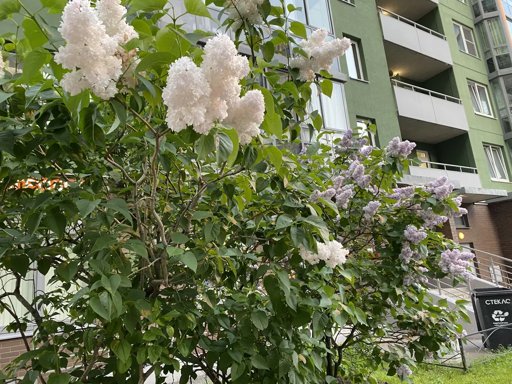 Прекрасная светлая студия у метро
