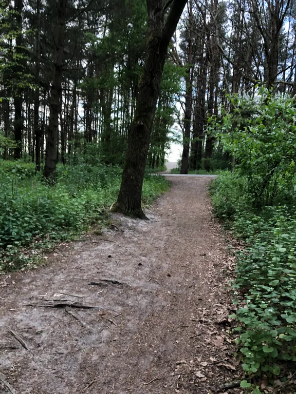 Коттедж Уютный дом у моря — Зеленоградск